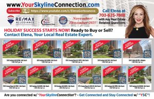 Monthly Sales November December 2025